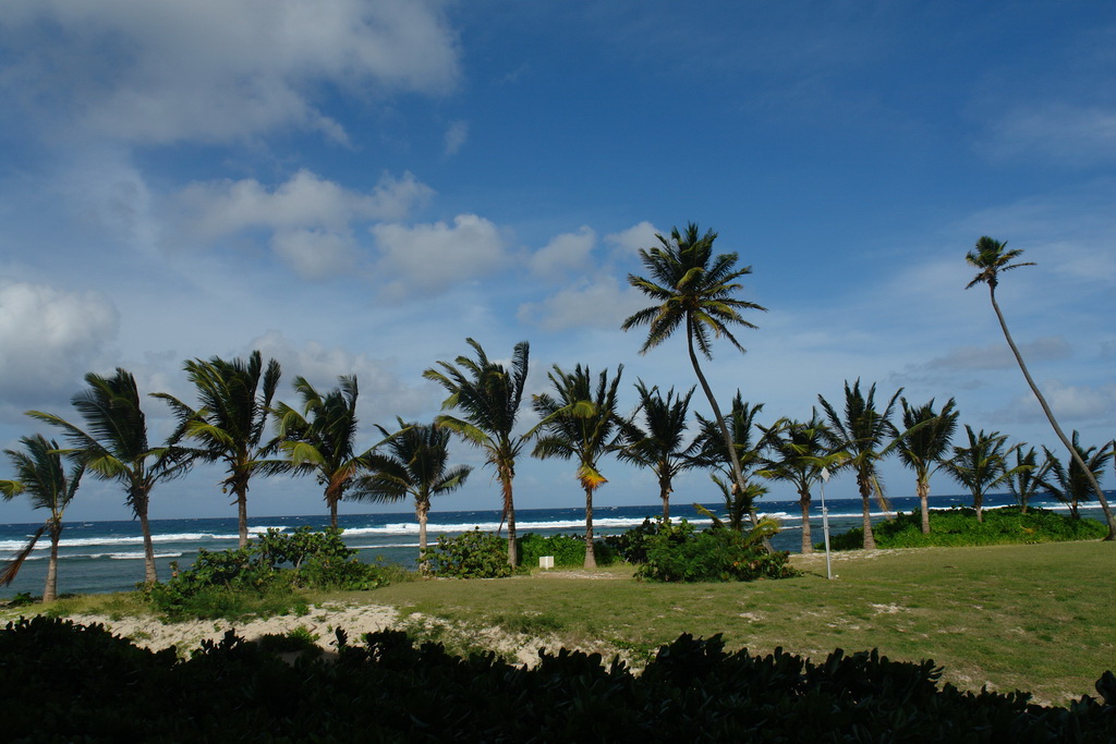     - - (St. Croix).